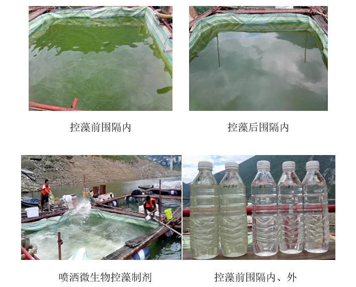 湖南利爾康,生物酶制劑研發,生物酶制劑產品,利爾康生物酶,湖南食品添加劑